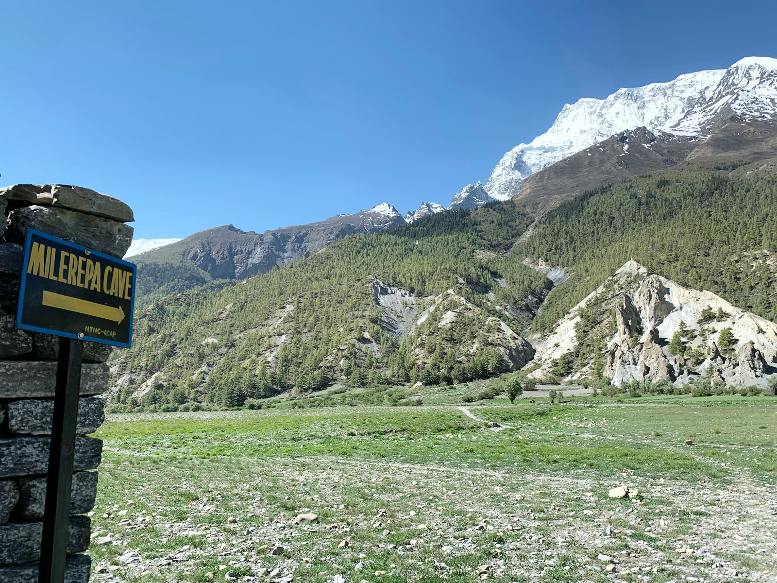 寫著 MILAREPA CAVE 的路標立在草地邊，後方是針葉林與雪峰